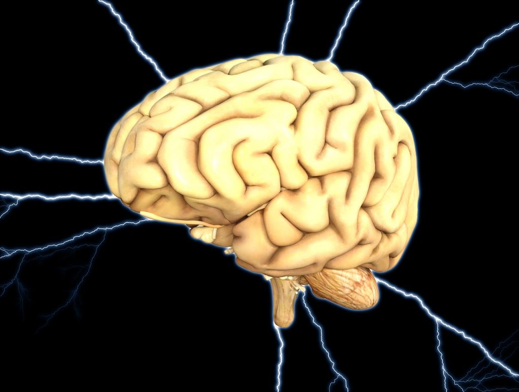 healthy brain